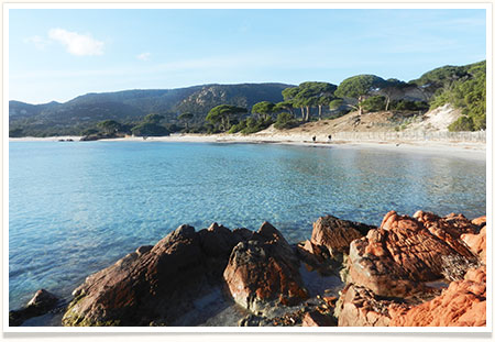 Photo de la plage de Palombaggia à proximité du Camping La Vetta à Porto-Vecchio en Corse du Sud.