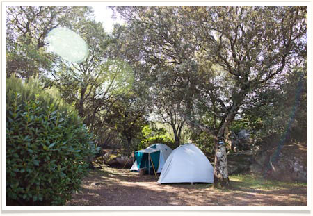 Emplacement camping ombragé avec électricité au Camping La Vetta en Corse