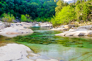 camping corse cote est camping corse cote est