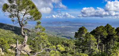 camping corse cote est